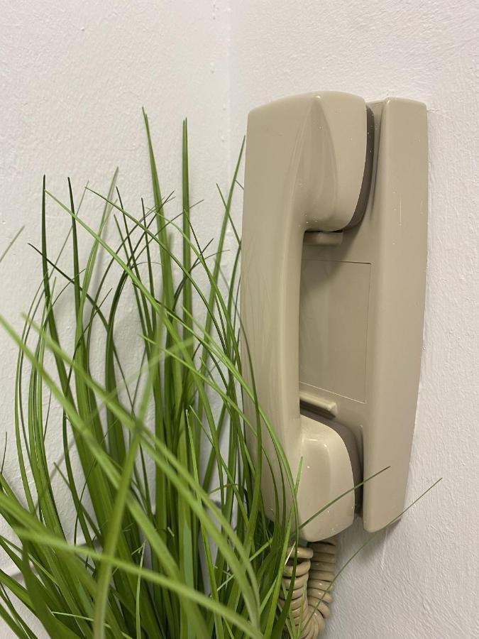 #Lowcosthighcomfortgoess Lägenhet Goss Exteriör bild